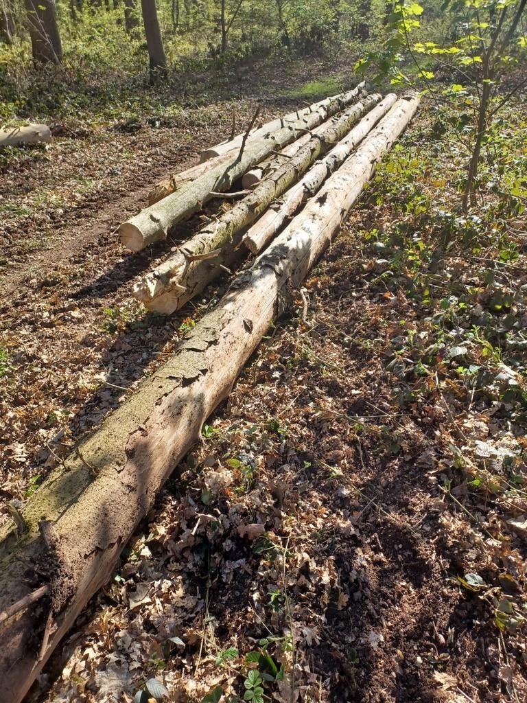 Boomstammen , brandhout, Ophalen