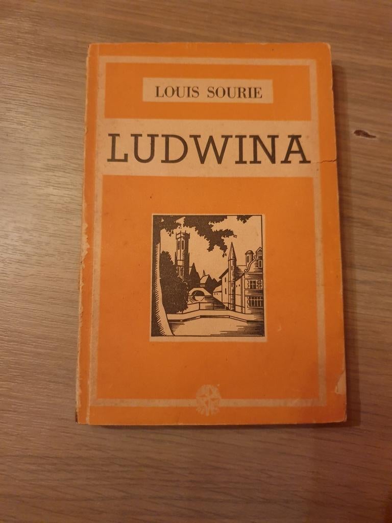 IEPER BRUGGE Ludwina., Boeken, Geschiedenis | Stad en Regio, Gelezen, Ophalen of Verzenden