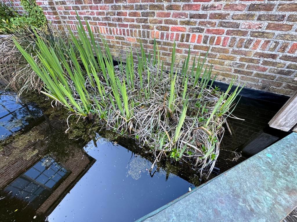 Vijver filterbak in PE, Ophalen, Gebruikt