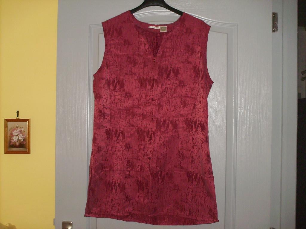 a vendre blouse tunique pour dame, Vêtements | Femmes, Blouses & Tuniques, Enlèvement ou Envoi, 3 suisses, Taille 42/44 (L), Neuf