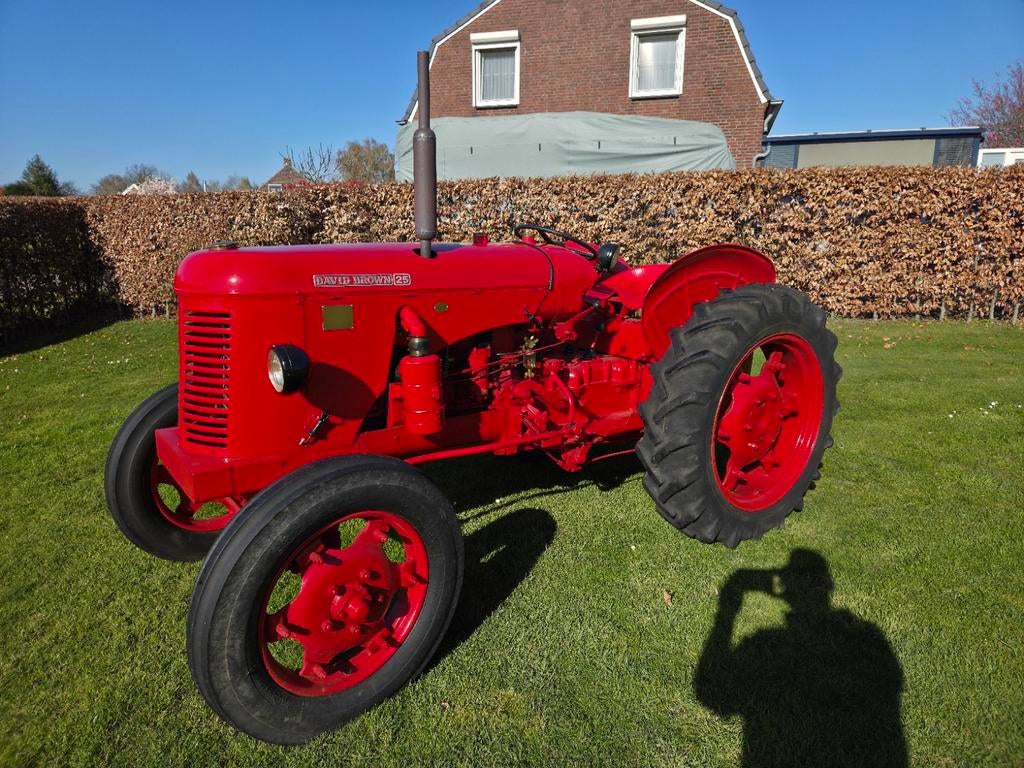 Oldtimer tractor David Brown 25C benzine petroleum, Zakelijke goederen, Landbouw | Tractoren, Ophalen