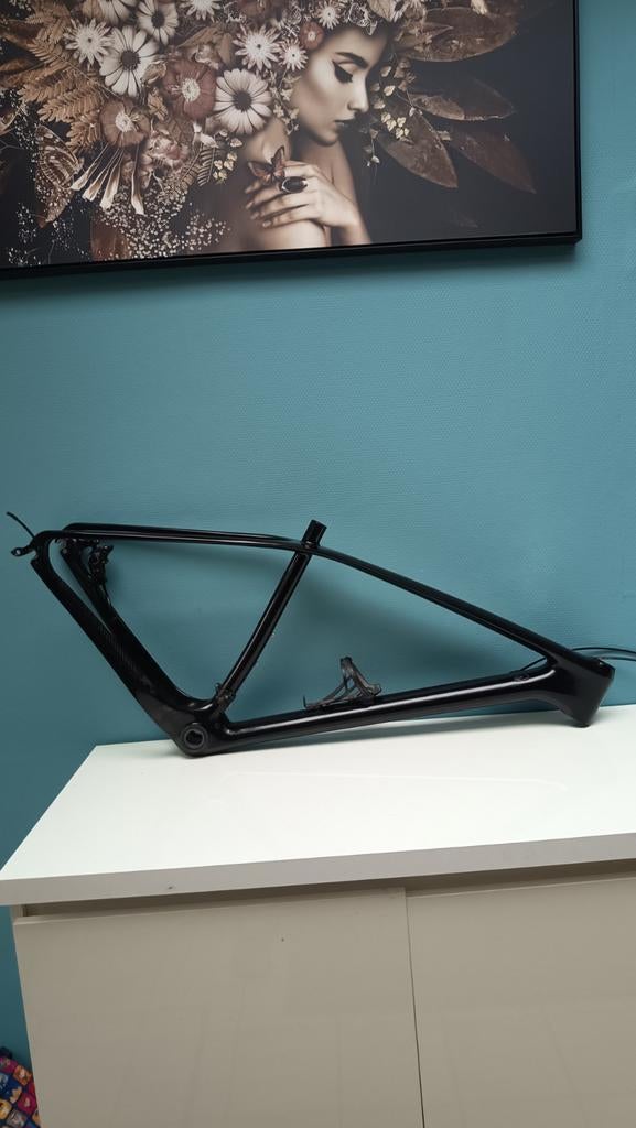 Carbon MTB frame 29er M, Ophalen