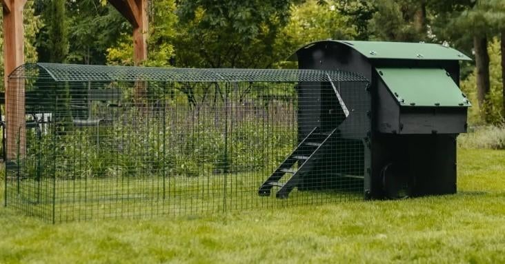 Nestera kippenhok large hoog + ren van 3 meter, Animaux & Accessoires, Enlèvement, Neuf, Poulailler