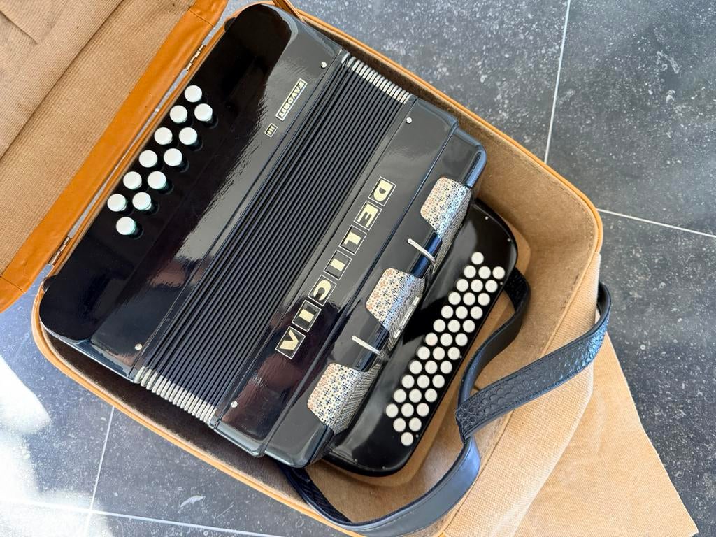 Delicia Favorit III diatonische knop-accordeon, Muziek en Instrumenten, Accordeons, Ophalen, Gebruikt, Met koffer, Delicia