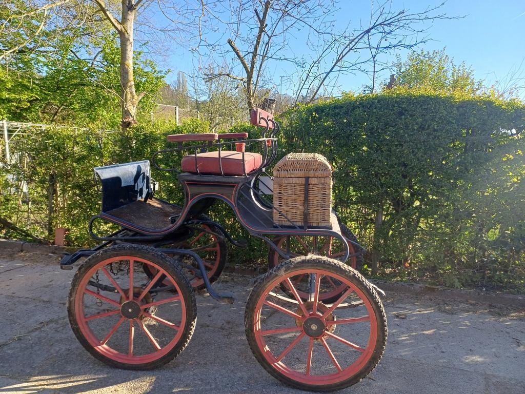 KOETSEN, MARATHONWAGEN EN GETUIG TE KOOP, Animaux & Accessoires, Voitures & Carrosses, Calèche marathon