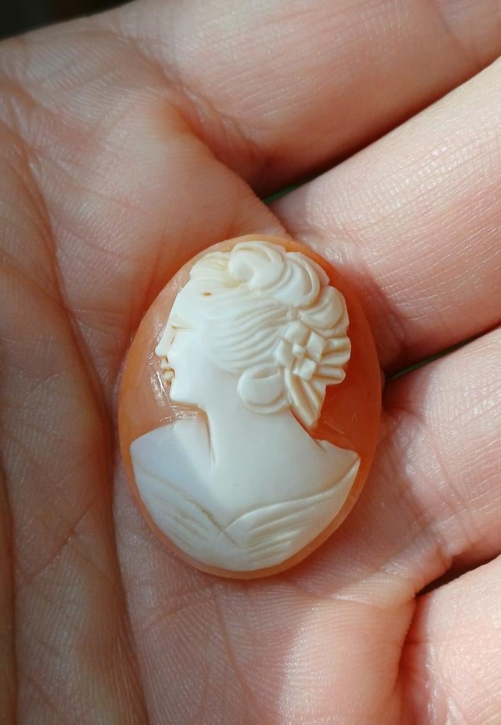 Schelp cameo, Ophalen