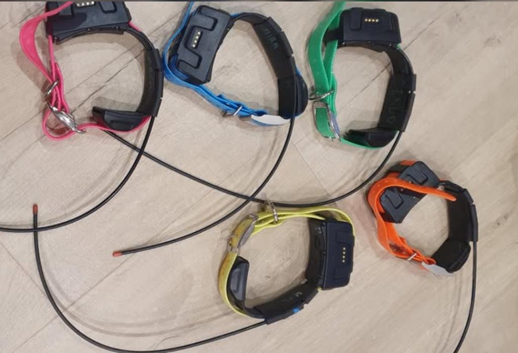 Garmin Dc 50 zenders, Dieren en Toebehoren, Honden-accessoires, Zo goed als nieuw, Ophalen