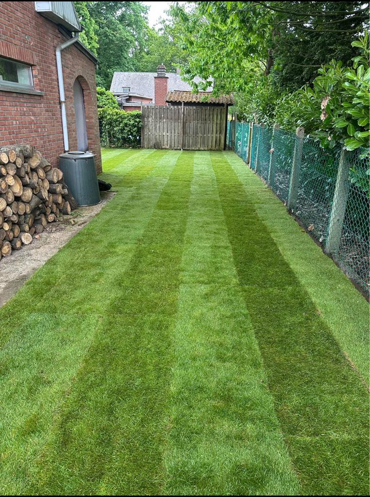Gazon jardin haute qualité, Tuin en Terras, Gras en Kunstgras, Nieuw, Ophalen of Verzenden