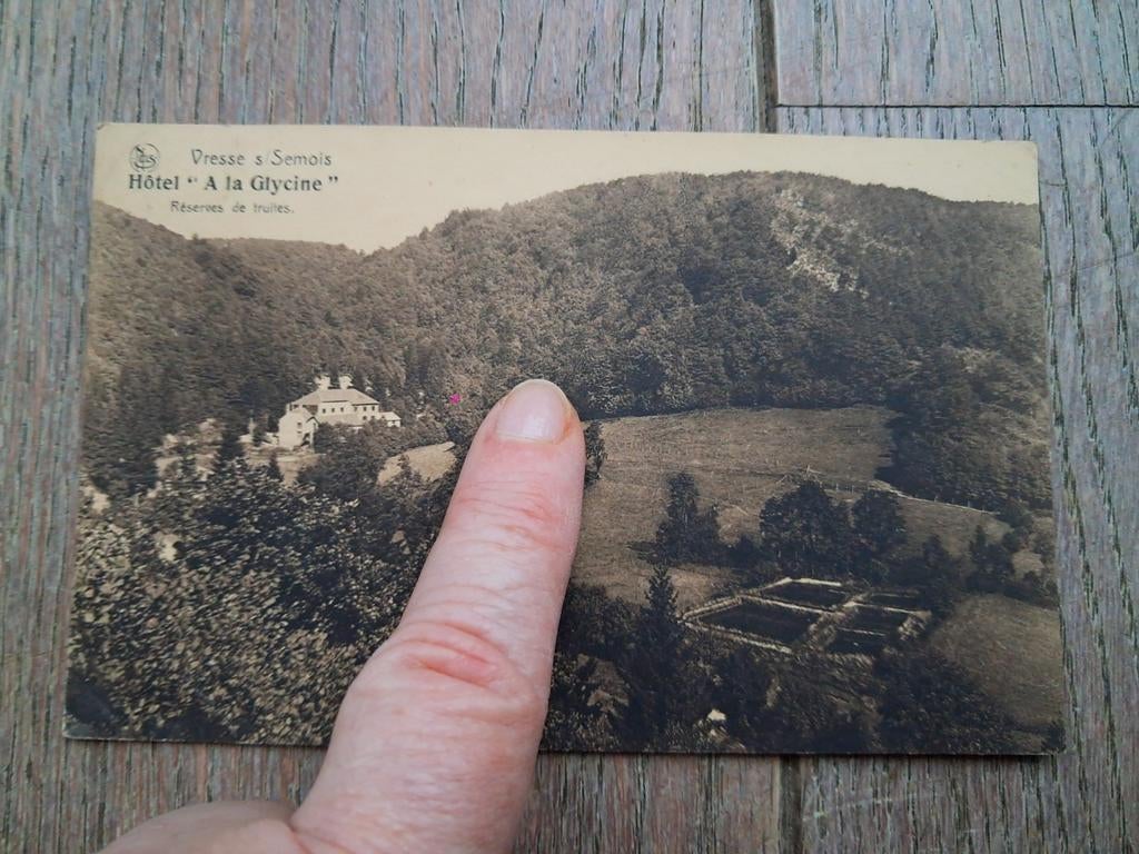 Oude beschreven pk: Hotel a la Glycine, Vresse sur Semois, Ophalen of Verzenden