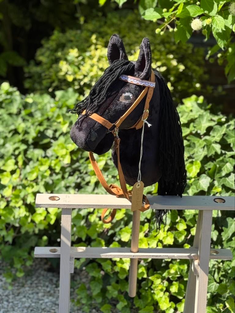 Rambo  ! Hobby  Horse, Enlèvement