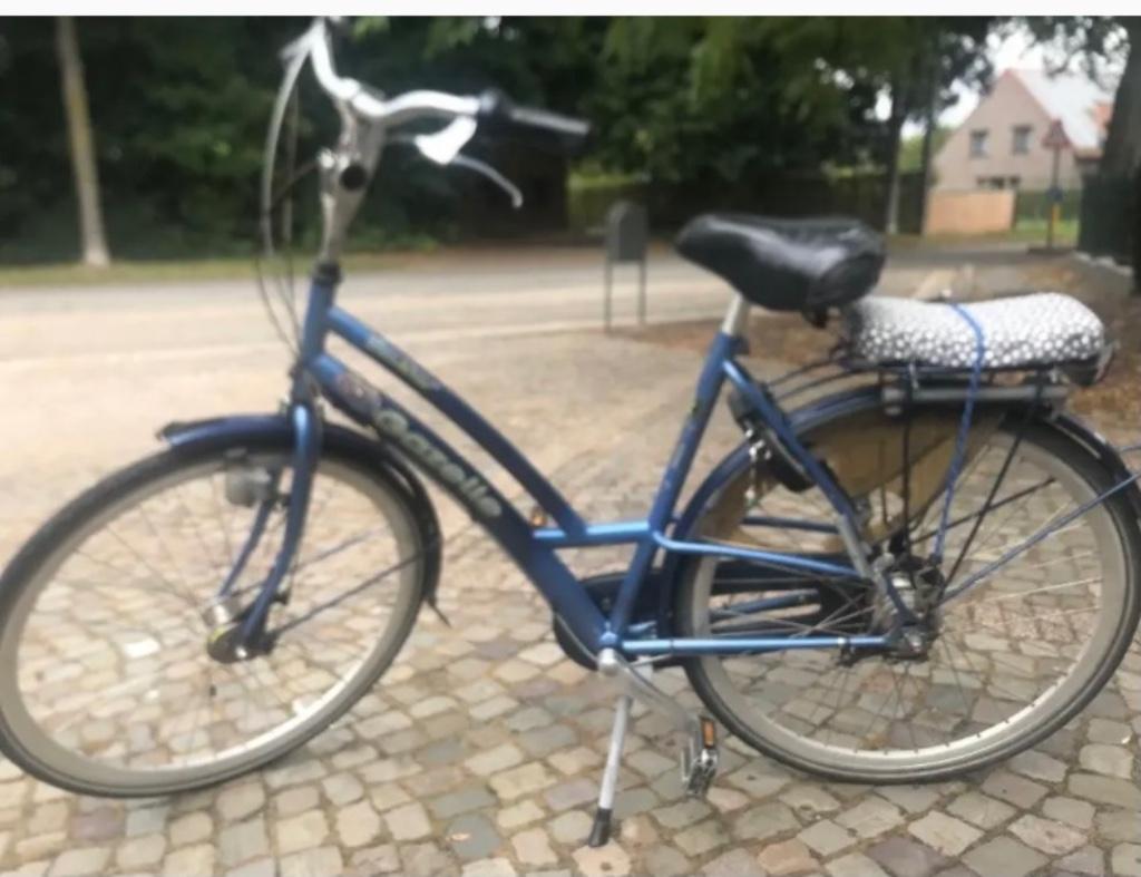 gazelle damesfiets, Ophalen, Versnellingen, Gazelle, 53 tot 56 cm