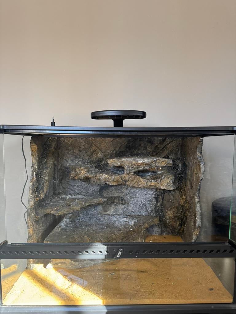 Terrariums en toebehoren, Ophalen, Zo goed als nieuw