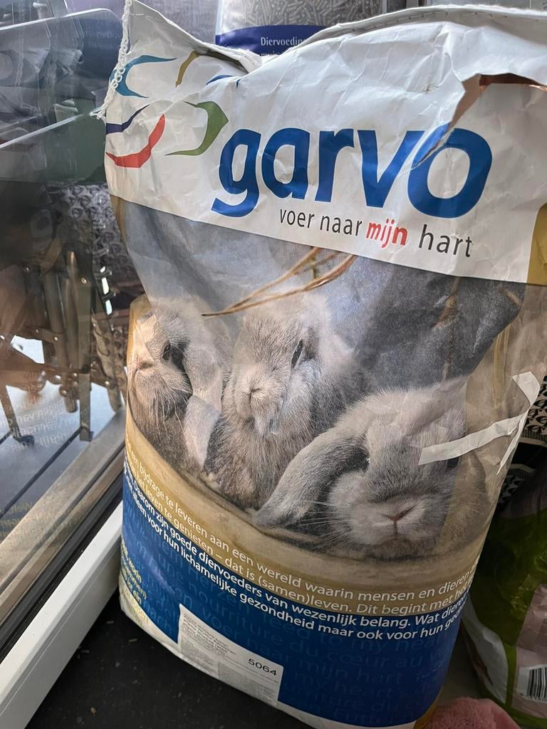 Konijnenvoer quasi onaangeroerd, Enlèvement, Rongeur ou Lapin