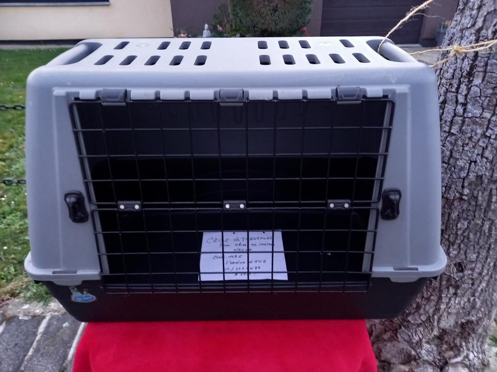 Cage de transport pour animaux, Animaux & Accessoires, Maisons pour chiens, Enlèvement