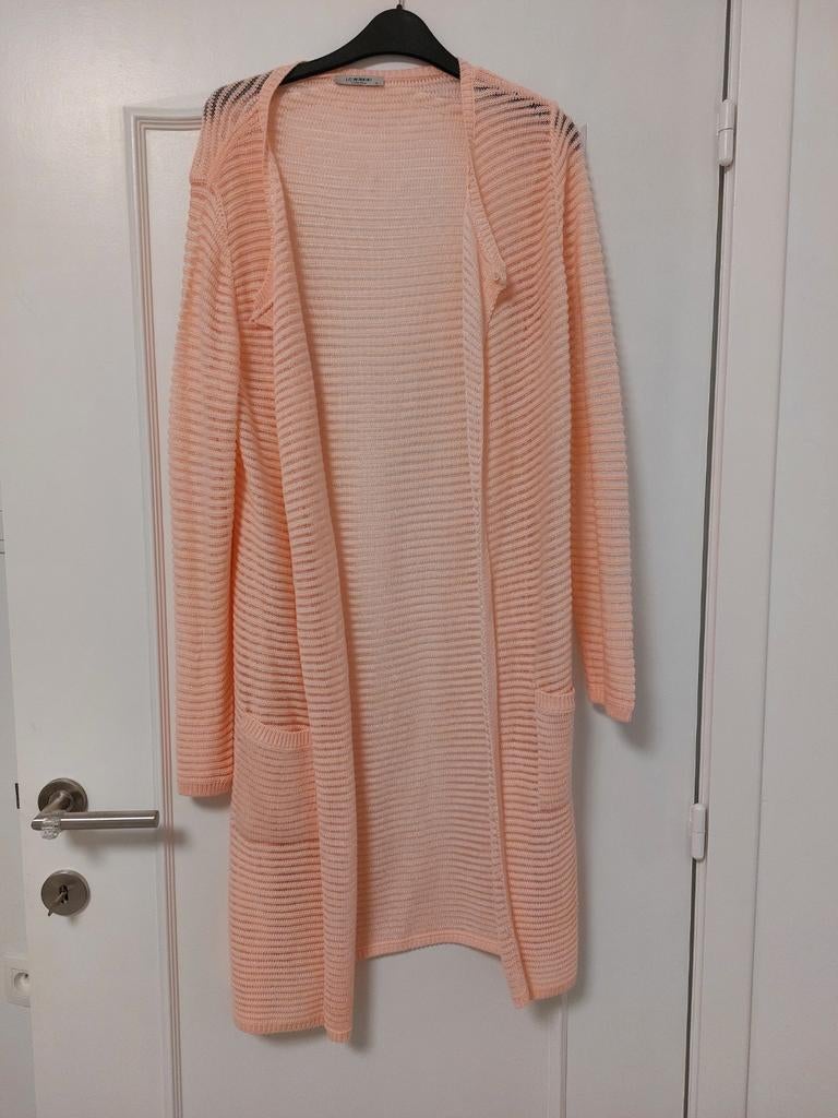 Gilet Babyrose taille 38 Lc waikiki, Enlèvement ou Envoi, Taille 38/40 (M)