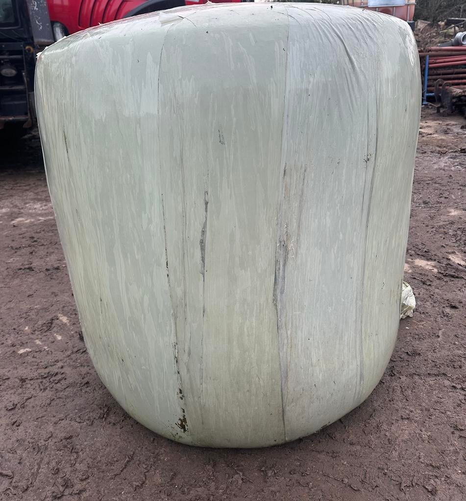 Maisbalen, Zakelijke goederen, Landbouw | Veevoer, Ophalen