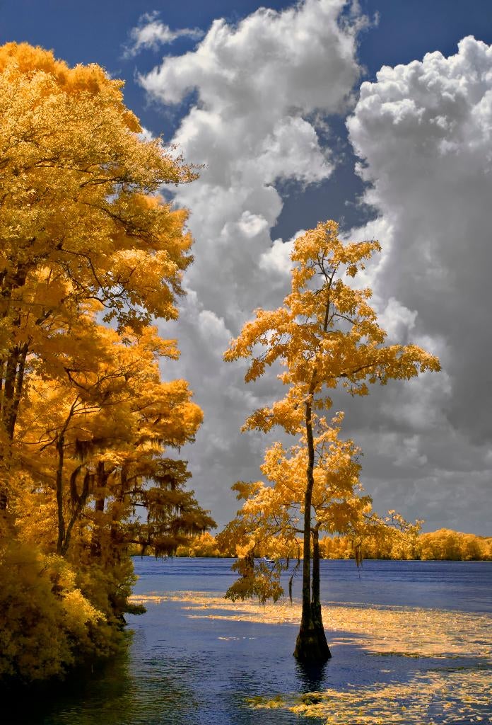 Olympus E-P 1 Infrared 590Nm, Audio, Tv en Foto, Fotocamera's Digitaal, Gebruikt, 12 Megapixel, Compact, Ophalen of Verzenden