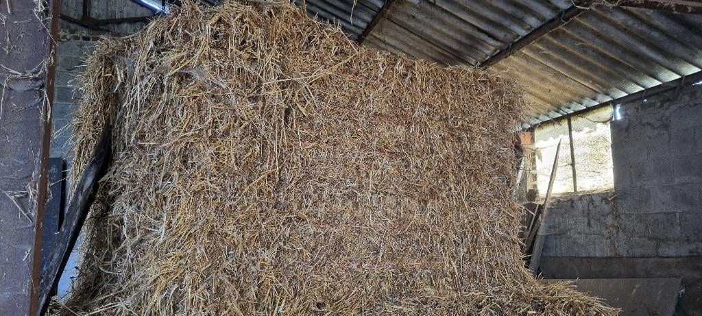 Stroo, Dieren en Toebehoren, Dierenvoeding, Ophalen