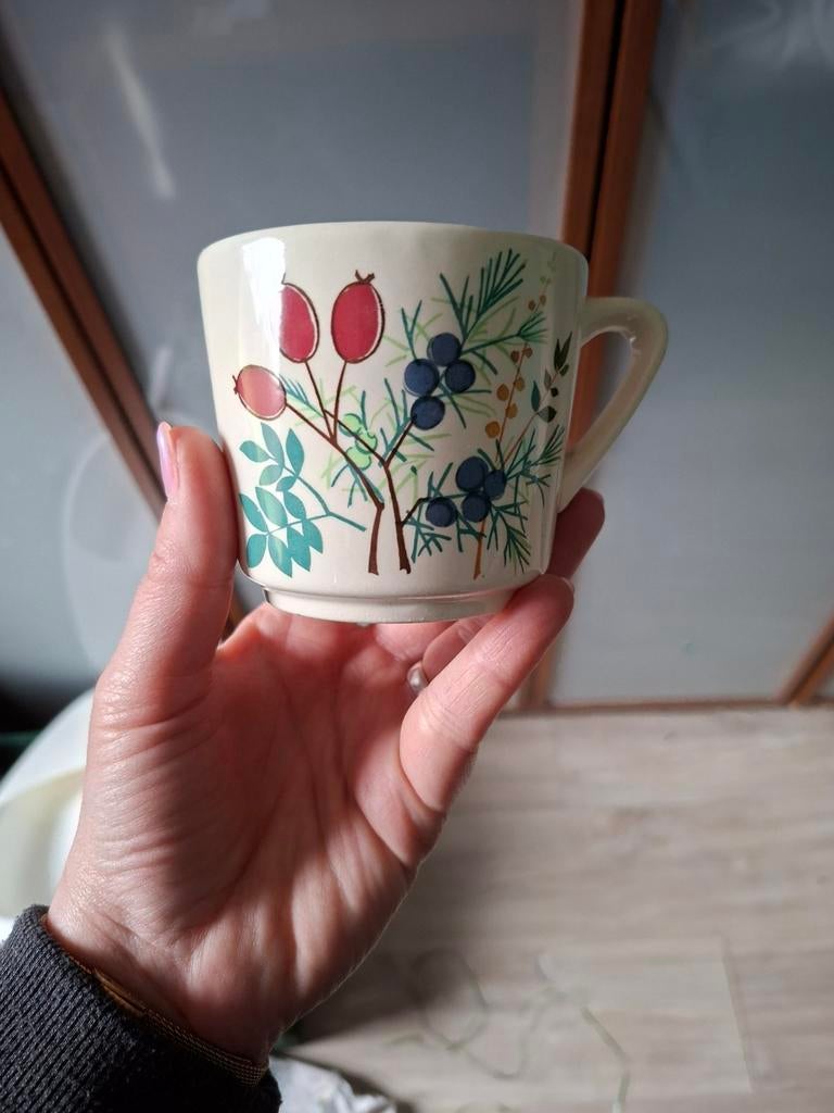 Tasse / Mug Vintage Waechtersbach - Décor Botanique West Ger, Enlèvement ou Envoi