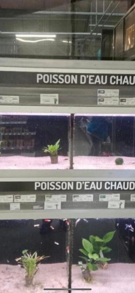 Rack aquarium diverse accessoirs, Enlèvement ou Envoi, Comme neuf