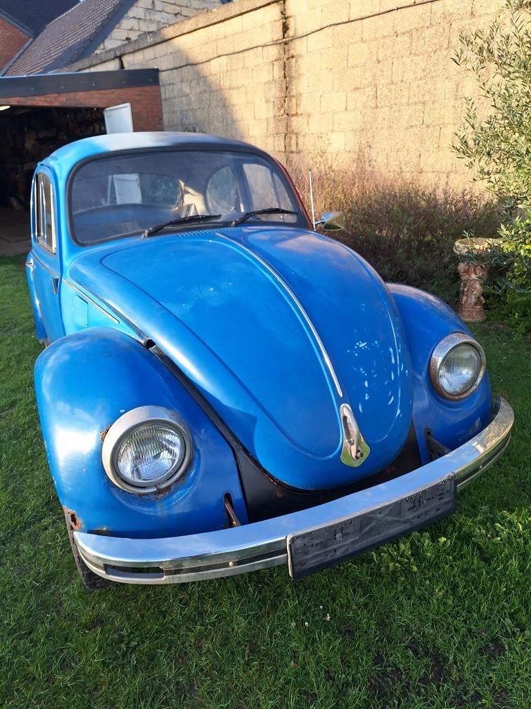 Scarabée 1981, Particulier, Achat