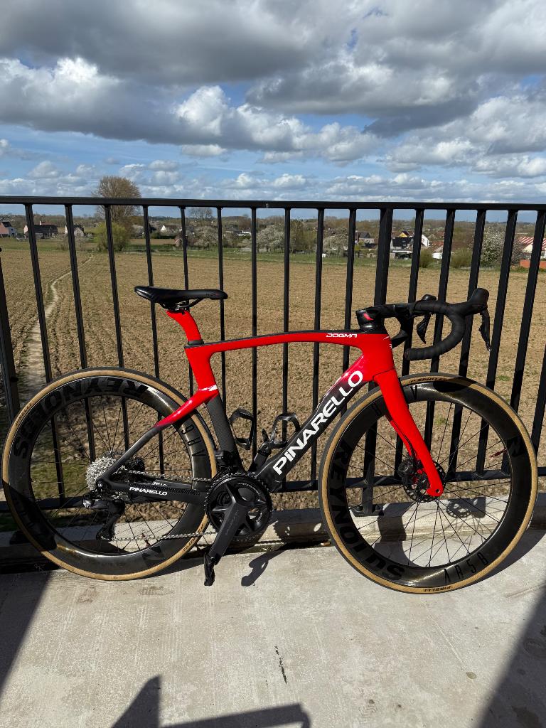 Pinarello/dogma f2025 di 12 speed, 53 à 57 cm, Enlèvement, Comme neuf, Autres dimensions