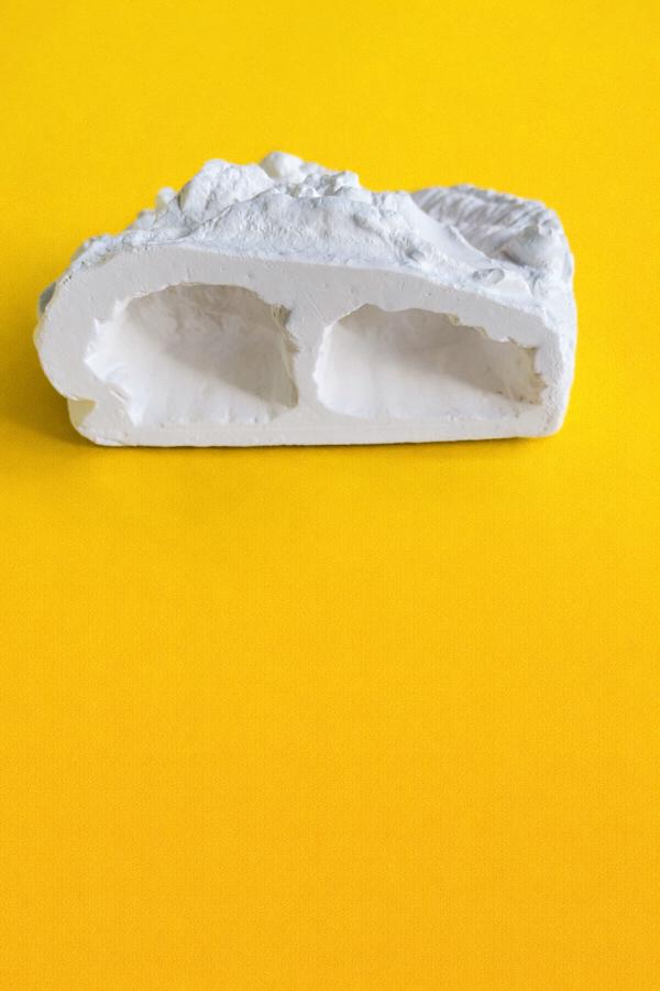 Nid de fourmis en plâtre, monde extérieur, Animaux & Accessoires, Insectes & Araignées, Fourmis