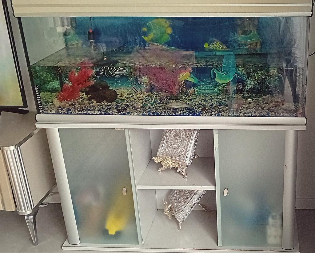 Aquarium met kast en alle decoraties, Dieren en Toebehoren, Ophalen of Verzenden