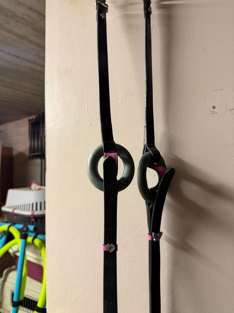 Bijzet teugel pony, Dieren en Toebehoren, Paarden en Pony's | Hoofdstellen en Tuigage, Ophalen, Gebruikt