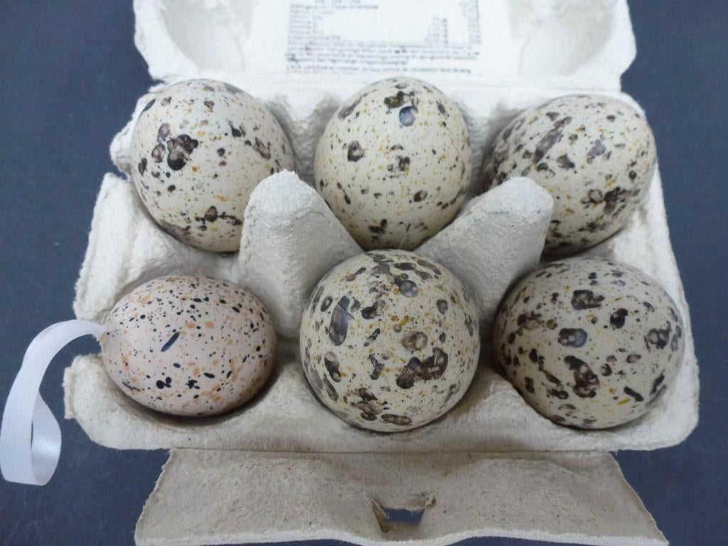 Décoration d'œufs de caille de Pâques en plastique, Enlèvement ou Envoi, Neuf