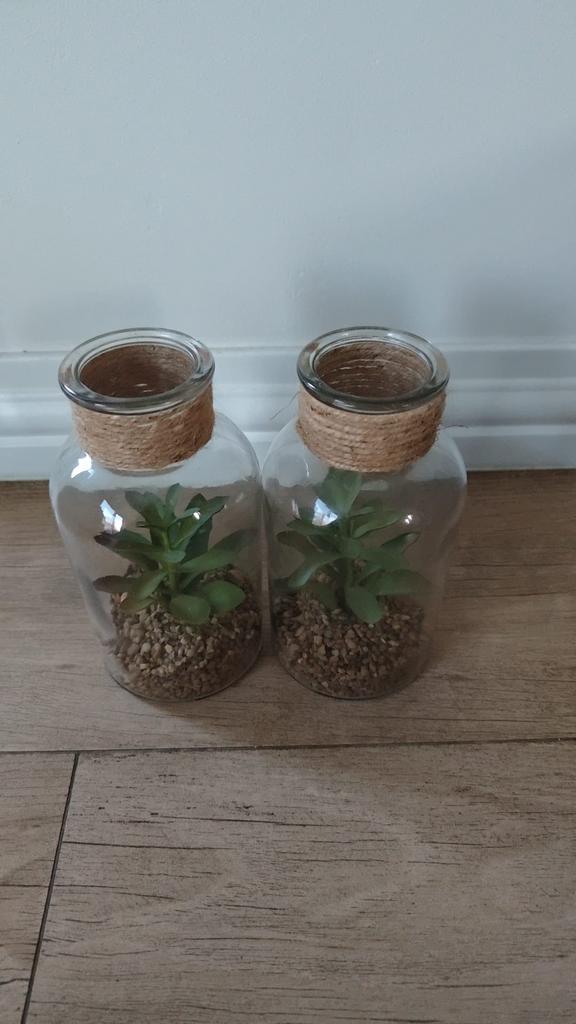 2 glazen flesjes met kunstplanten, Ophalen, Zo goed als nieuw, Groen
