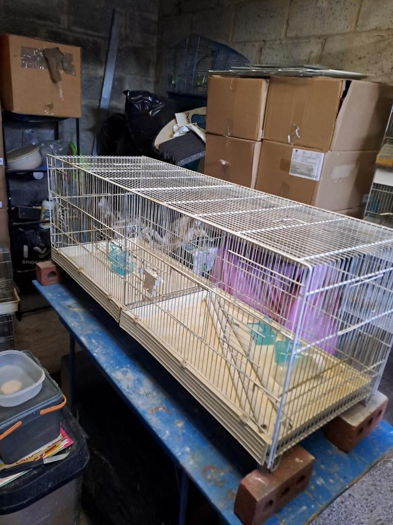 Cage de vol pour oiseaux, Enlèvement