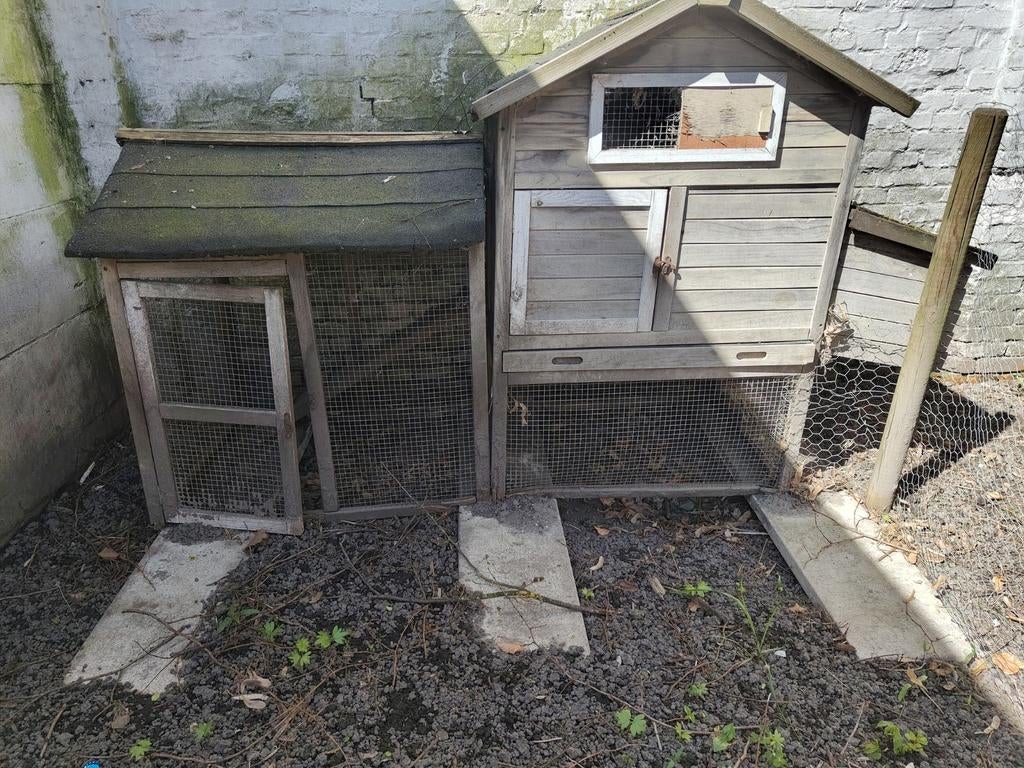 Kippenhok te geef, Dieren en Toebehoren, Pluimvee | Toebehoren, Ophalen