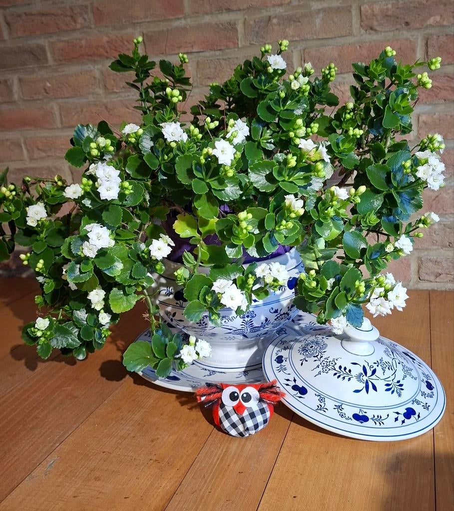 Vintage service, Ophalen