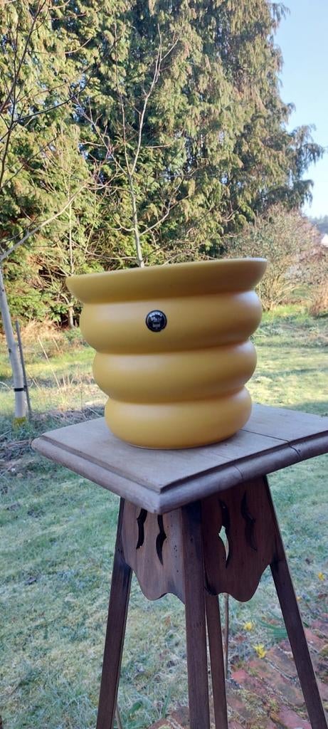 Cachepot/Jaune/Royal, Enlèvement ou Envoi