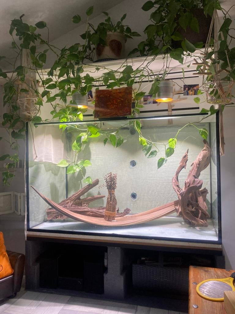 Aquarium 900 litres, Ophalen, Gebruikt, Leeg aquarium