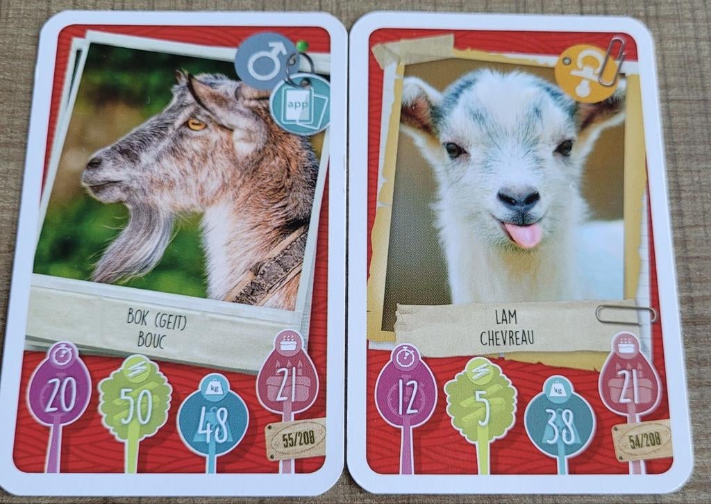 2 fotokaarten: geiten, Verzamelen, 1980 tot heden, Ophalen of Verzenden, Zo goed als nieuw, Dier