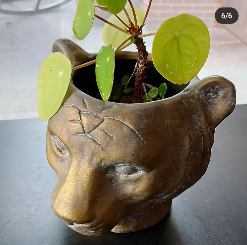 Pot de fleurs en forme de panthère tigre, Enlèvement ou Envoi