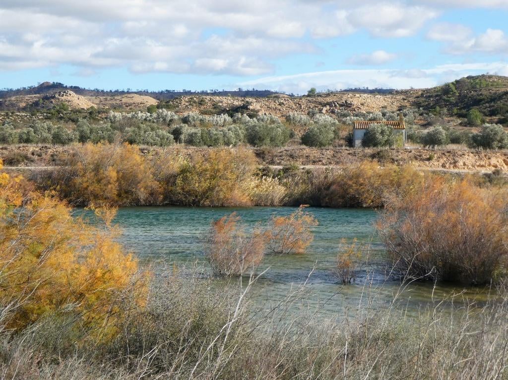 Finca à Fabara (Aragon, Espagne) - 1080, Immo, Étranger, Espagne, Autres types, Campagne