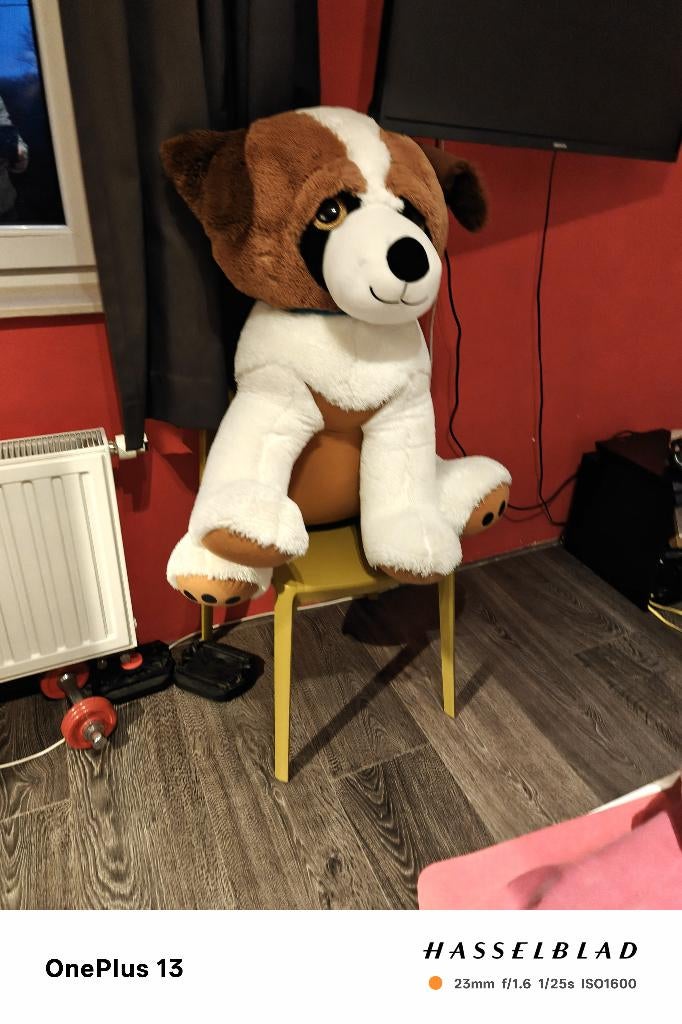 grote knuffel (hond), Kinderen en Baby's, Ophalen, Zo goed als nieuw, Hond