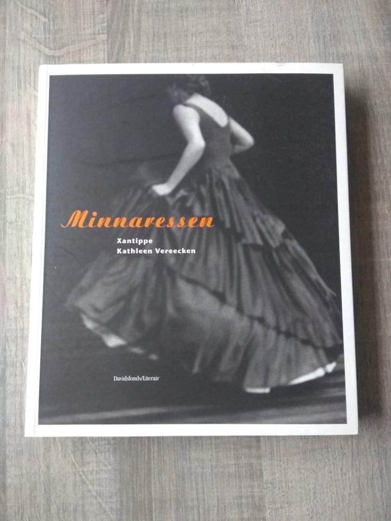 minnaressen, Livres, Romans, Enlèvement ou Envoi