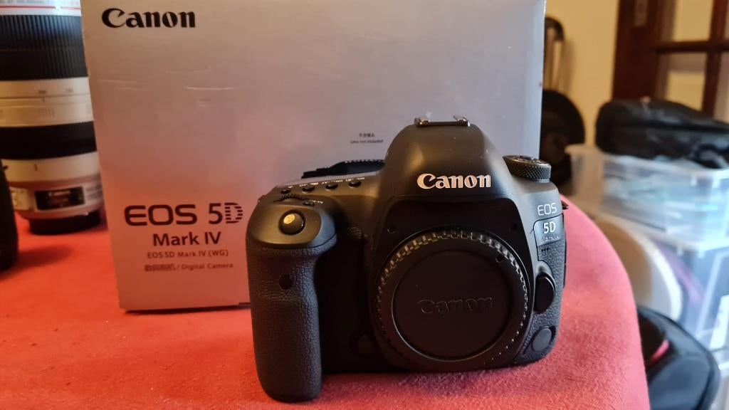 Canon EOS 5D Mk IV and Canon EOS 5D Mk II + Canon pro lenses, Ophalen, Zo goed als nieuw, Spiegelreflex, Canon
