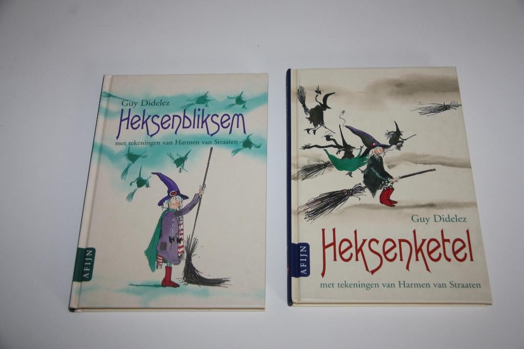 Heksenketel + heksenbliksem * guy didelez * +8 jaar, Ophalen of Verzenden, Gelezen, Fictie algemeen