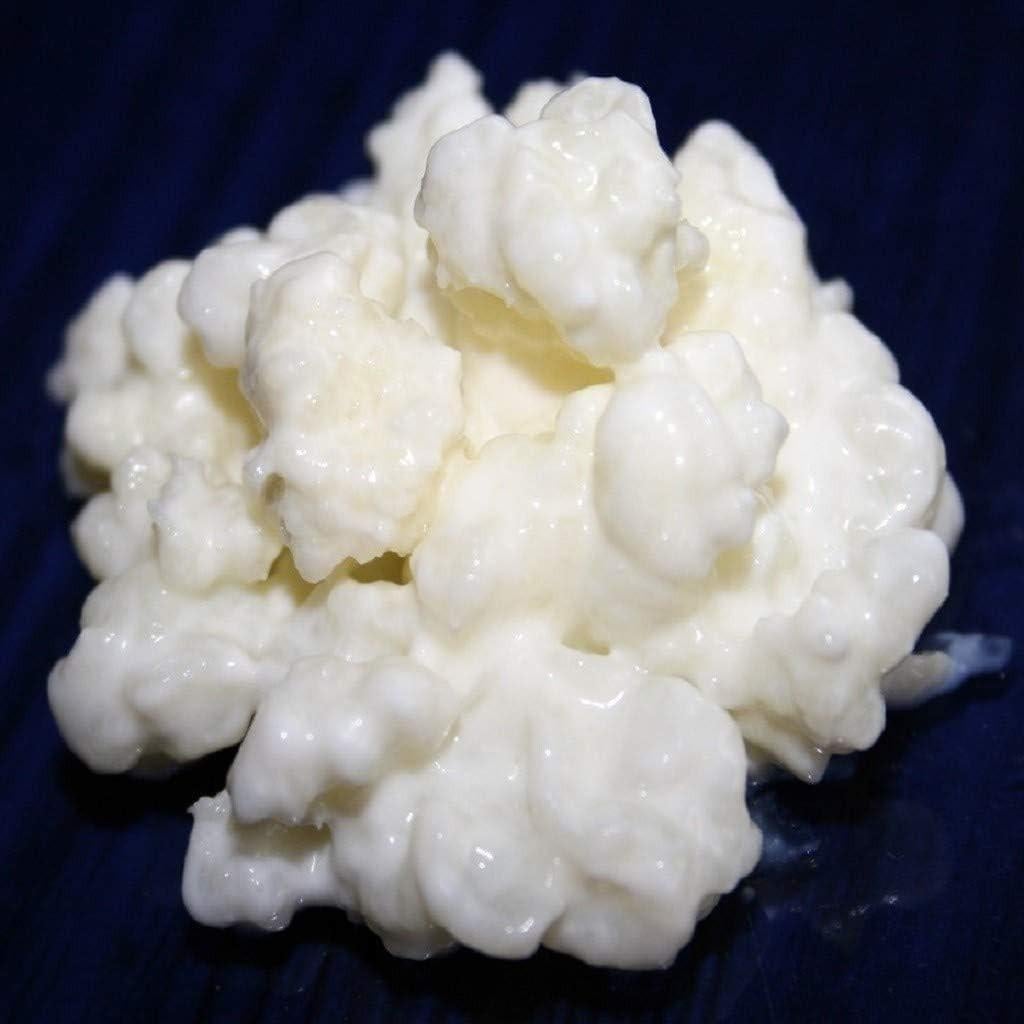 Yoghurtbloemetjes (kefir), Ophalen