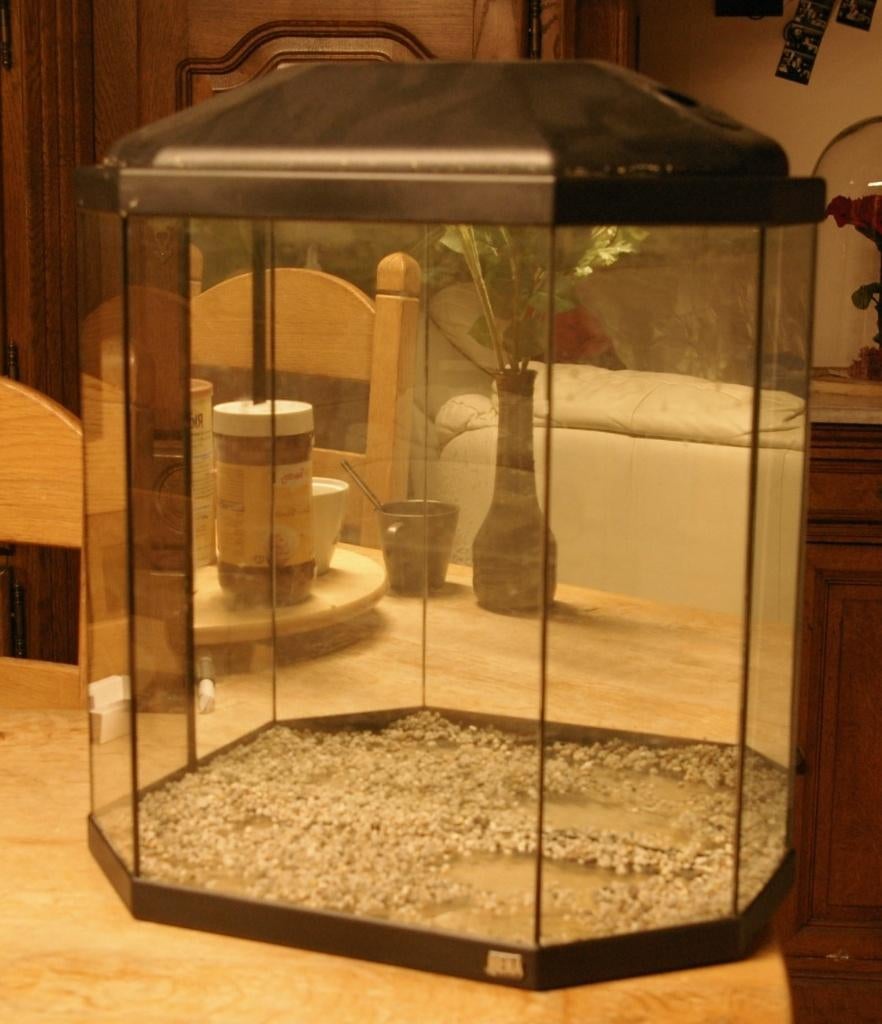 terrarium, Animaux & Accessoires, Enlèvement, Utilisé, Terrarium ou Paludarium