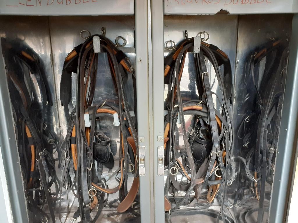 men tuigen, Ophalen of Verzenden, Nieuw