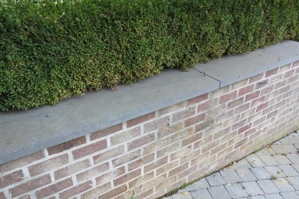 A vendre couvres mur en pierre bleue, Bricolage & Construction, Dalles & Carrelages, Enlèvement, Comme neuf, Pierre de taille