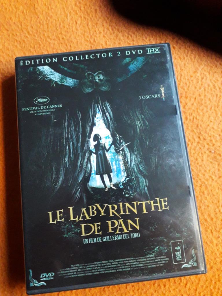 Le labyrinthe de pan, Enlèvement ou Envoi