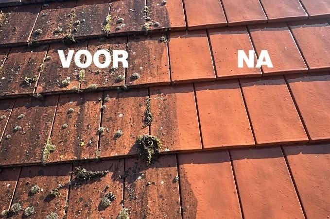 Nettoyer l'allée, la terrasse ou le toit ?, Bricolage & Construction, Enlèvement