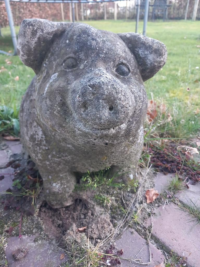 statue de jardin cochon cochon, Enlèvement, Comme neuf, Béton, Animal